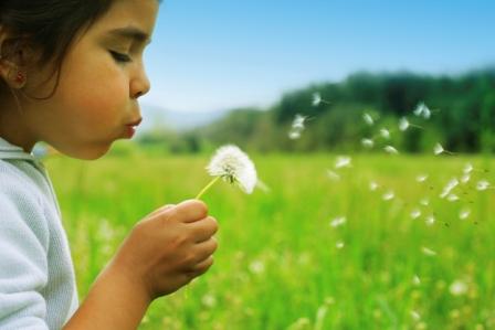 Kind mit Pusteblume Kind mit Pusteblume